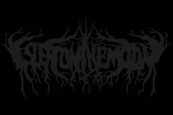 Bindrune Recordings lançará Only The Stars Know Of My Misfortune do ISLEPTONTHEMOON