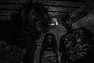 Warmarshal se prepara para lançar The Diseased